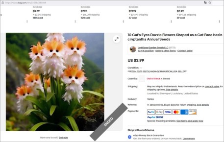 Неожиданная популярность: от синих роз до котиков в вашем саду