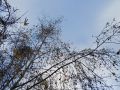 Обломки беспилотников повредили пять зданий в Калужской области