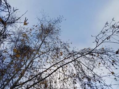 В Калуге объявлена беспилотная опасность