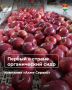 Калужская область - в лидерах России по производству органических продуктов