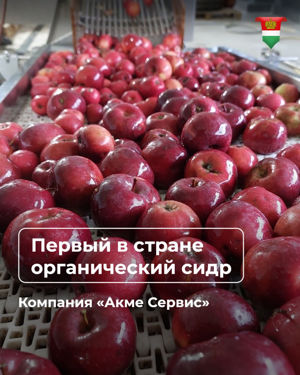 Калужская область - в лидерах России по производству органических продуктов