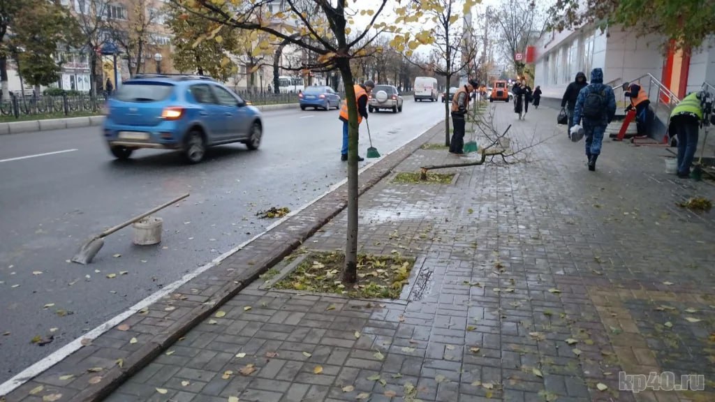 Сломавший липы в Калуге мужчина ушел в армию