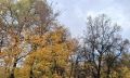 В Калужской области ожидается дождливая погода