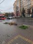 Туляк, поломавший деревья в Калуге, возместит ущерб, находясь в армии