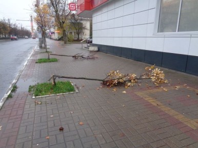 Вандал с улицы Кирова праздновал в Калуге призыв в армию