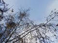 В Калуге объявлена беспилотная опасность