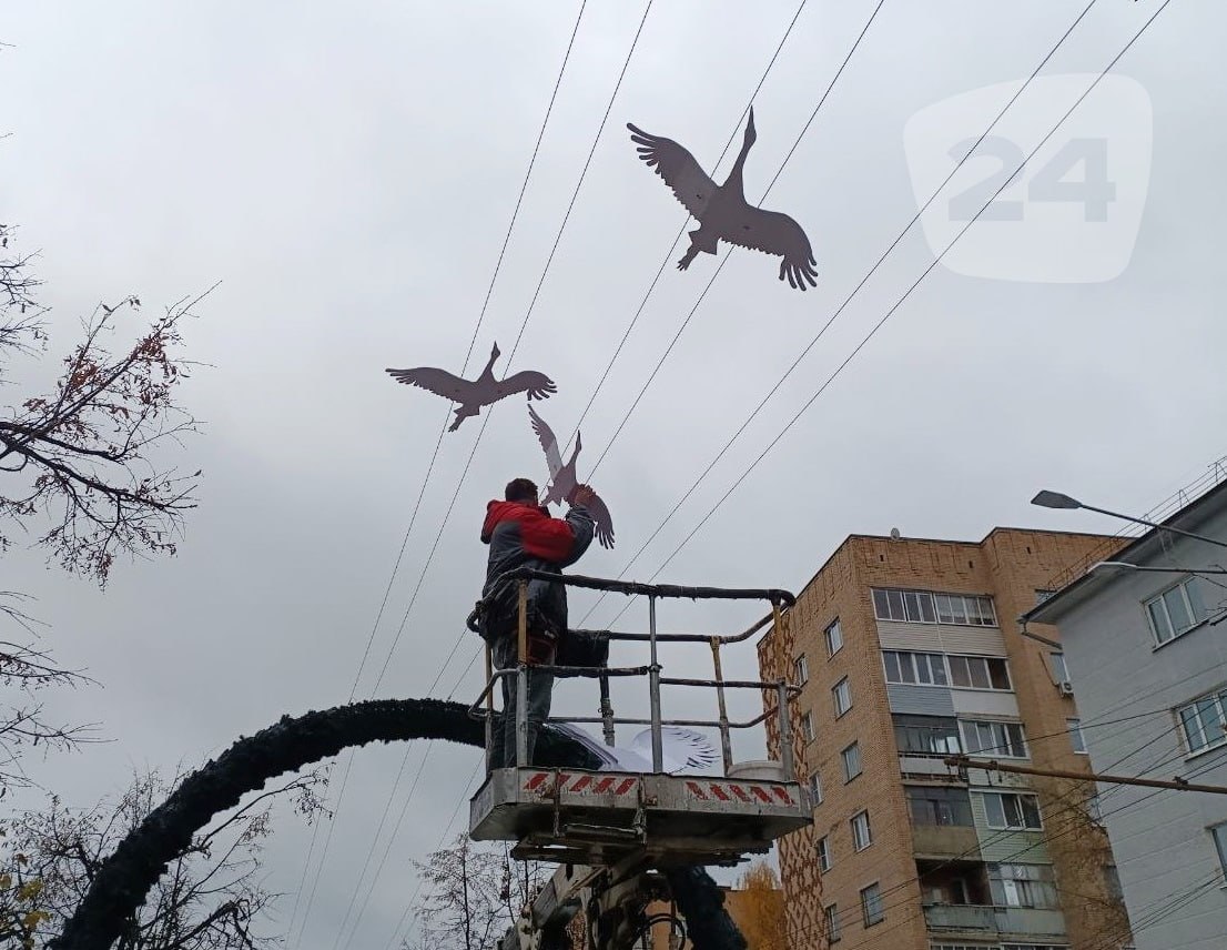 Белых журавлей отправили на зимовку
