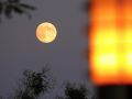 Ноябрь 2025: Лунный календарь, который откроет двери к любви и финансовому успеху