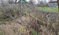 В калужской деревне оставили деревья лежать после опиловки