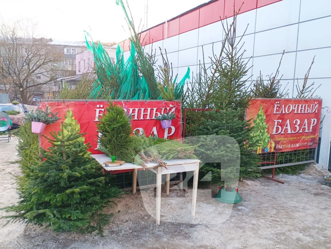 В Калуге выставили на торги 36 площадок под елочные базары