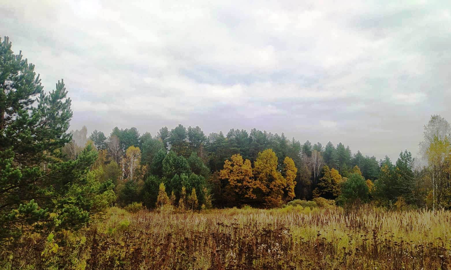 Синоптики прогнозируют в Калужской области осеннее ненастье
