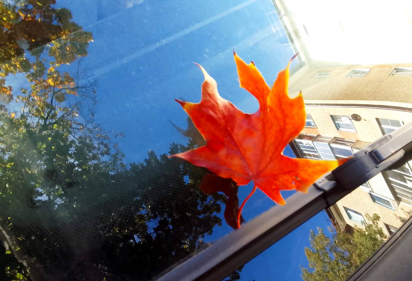 Синоптики обещают теплое начало ноября в Калужской области