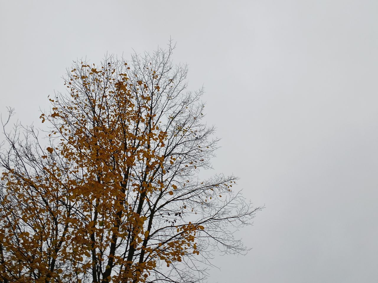 Аэропорт «Калуга» опять закрыли