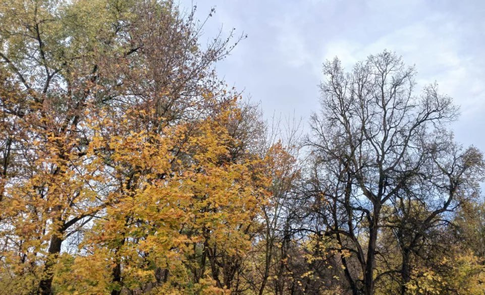 В Калужской области ожидается пасмурная погода