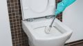 Влейте в унитаз 2 копеечных аптечных средства: блестящий результат гарантирован