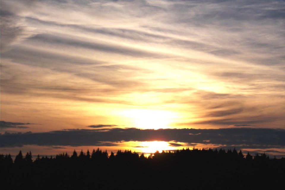 Силы ПВО сбили 15 вражеских беспилотников в небе над Калужской областью