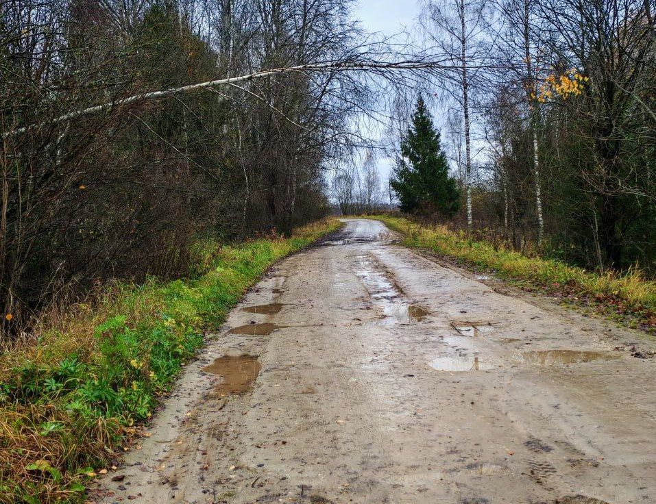 В Калужской области спилят упавшее дерево