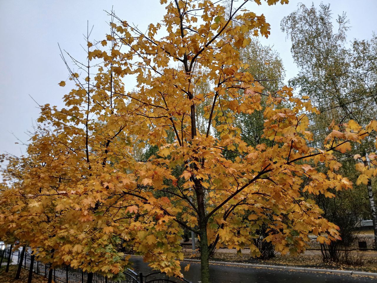 В Калужской области ожидается дождливая погода в последний день месяца