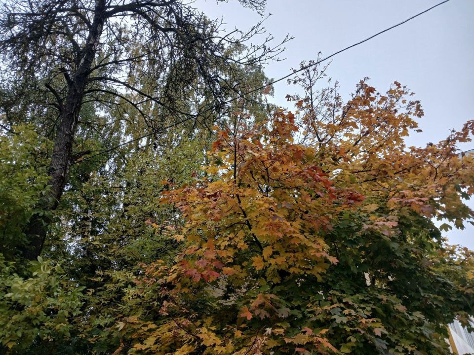 Жителей Калуги предупредили о грязном воздухе