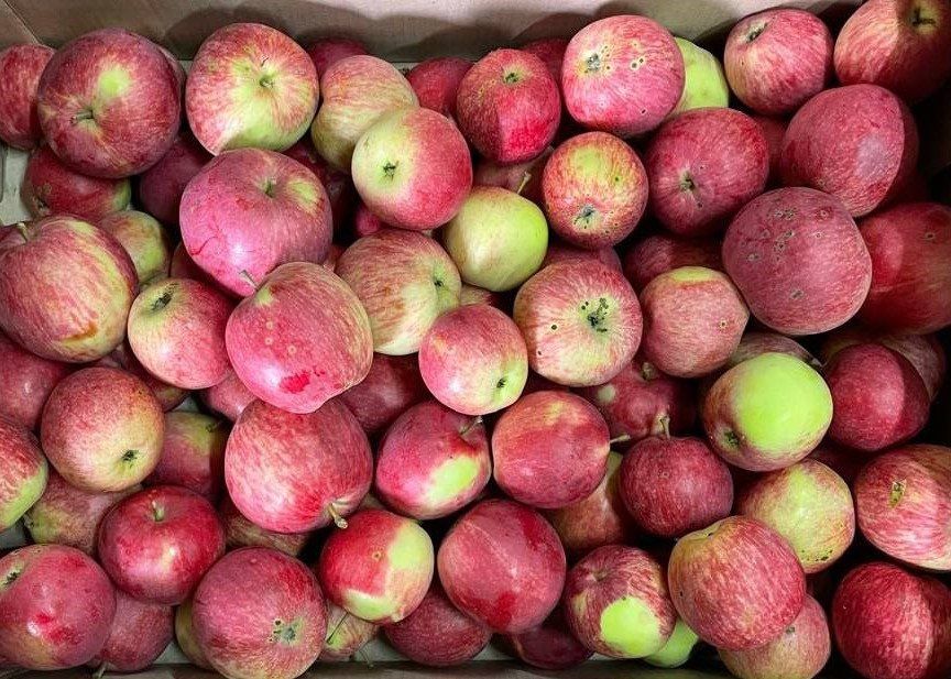 Калужские аграрии пошли еще на один рекорд