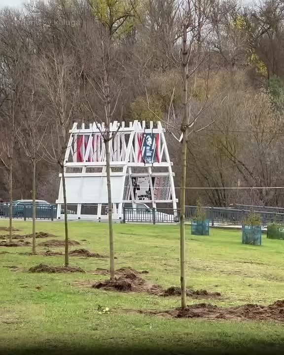 В Калуге высадили новые деревья на набережной Яченского водохранилища