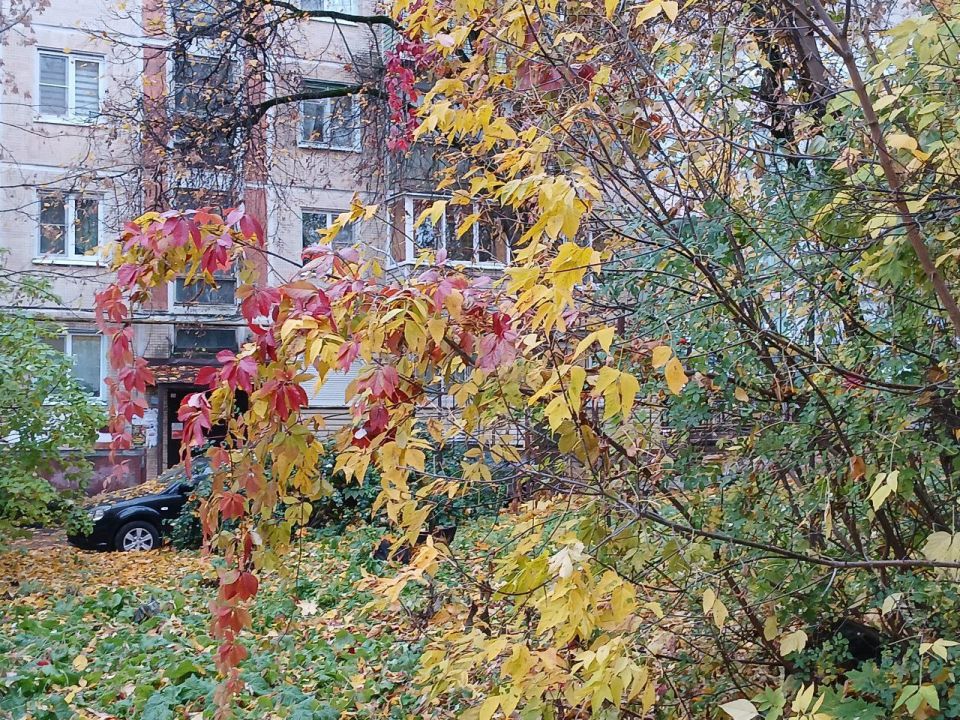 В Калужской области ожидается пасмурная погода
