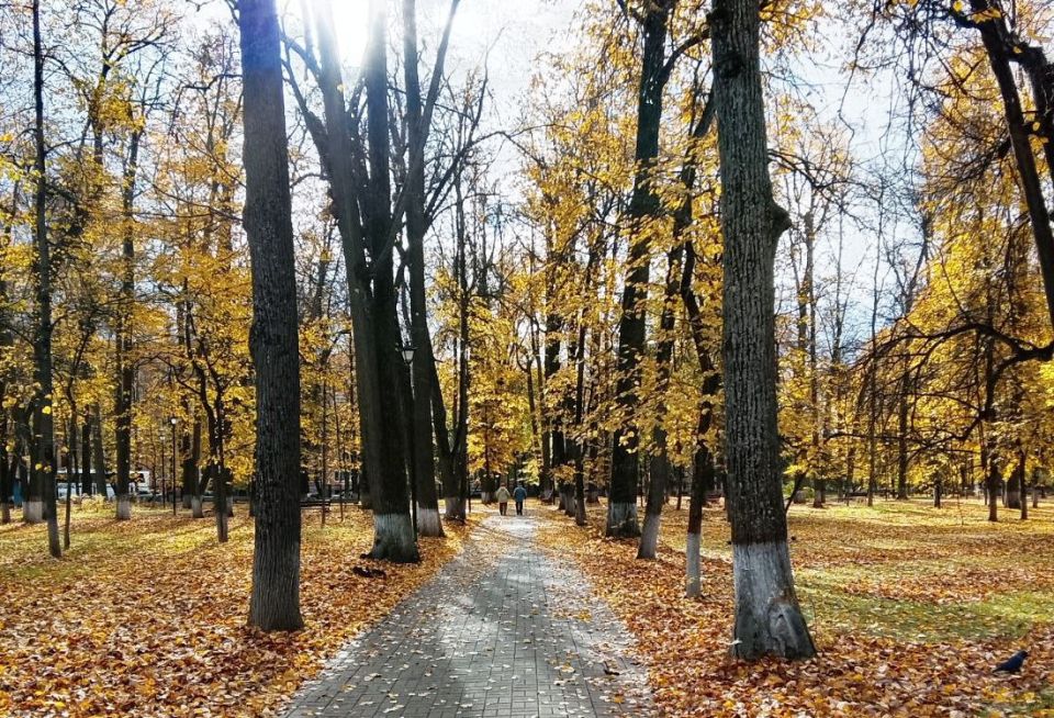 Осень продлит тёплую погоду в Калужской области