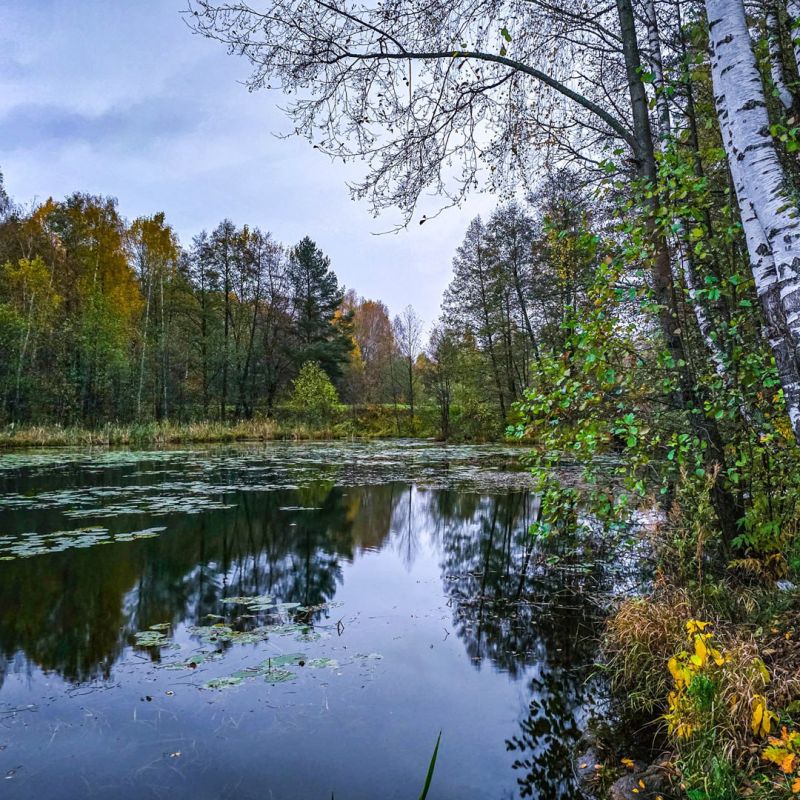 Осенняя атмосфера Рождественских прудов