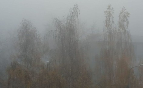    .  , 2 ,            -  ,    