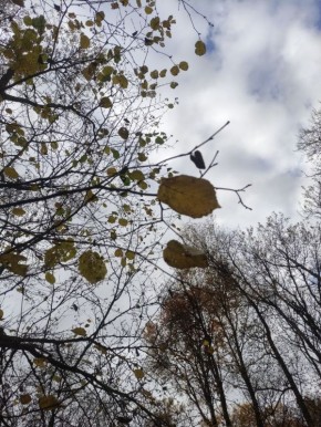 Калугу на праздники подмочит