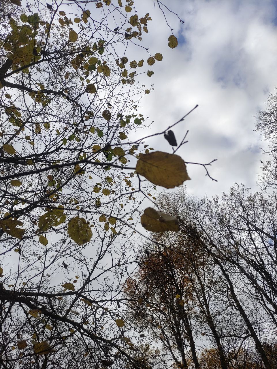 Калугу на праздники подмочит