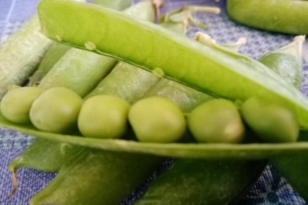 Зеленый горошек: 5 вещей, которые произойдут с организмом, если начать регулярно есть горох