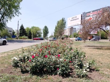 Приключения в пенсионном фонде: Как получить удостоверение с приключениями