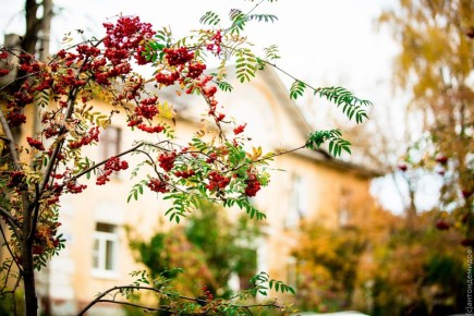 Всю неделю в Калужской области будет аномально тепло
