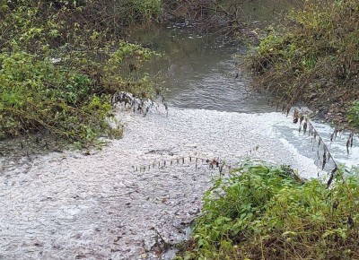 Бастрыкин занялся экологической катастрофой в Калужской области