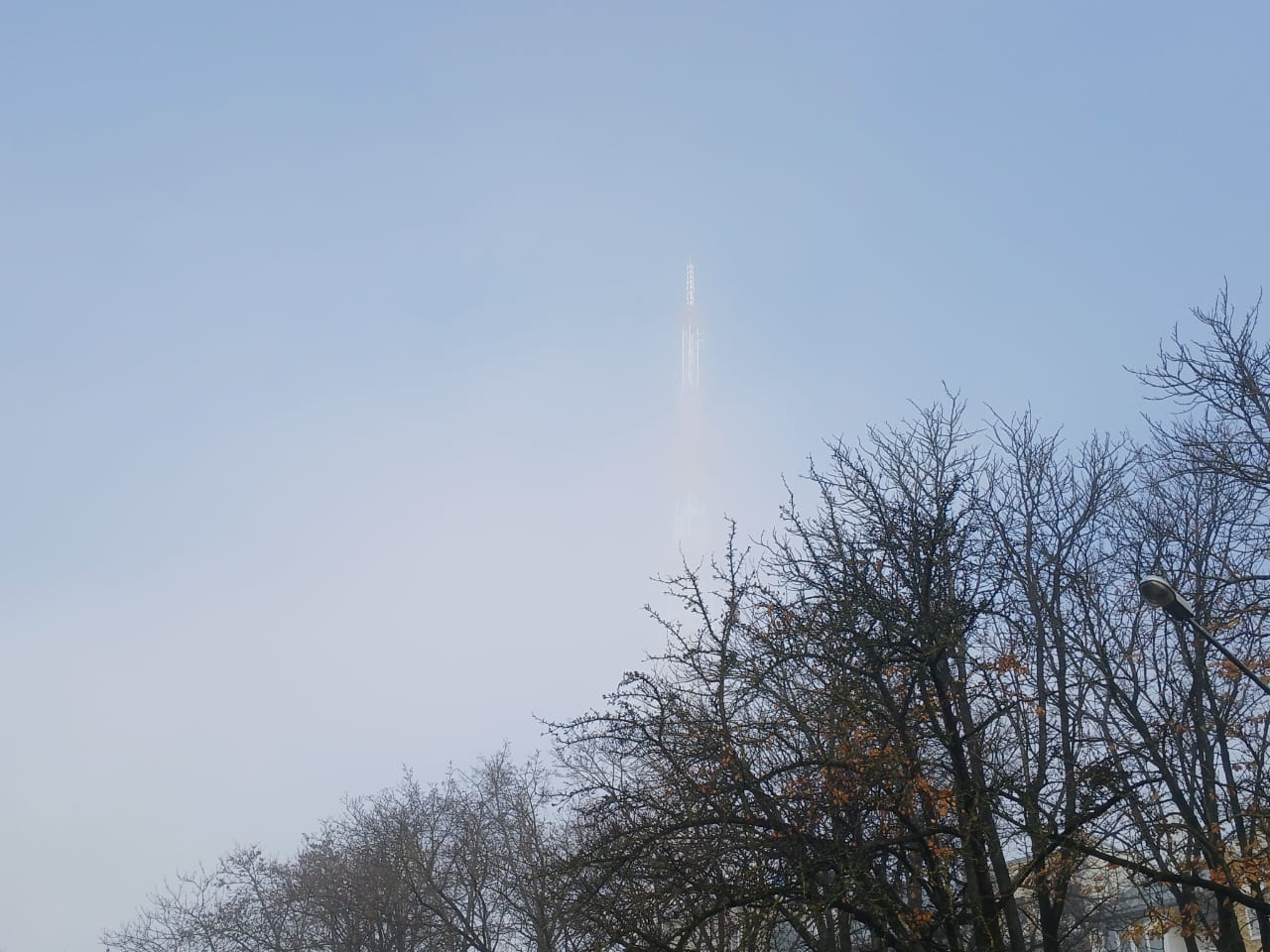 Начало ноября в Калуге будет аномально тёплым