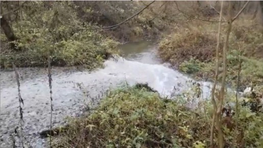 Бастрыкин заинтересовался загрязнением в Медыни