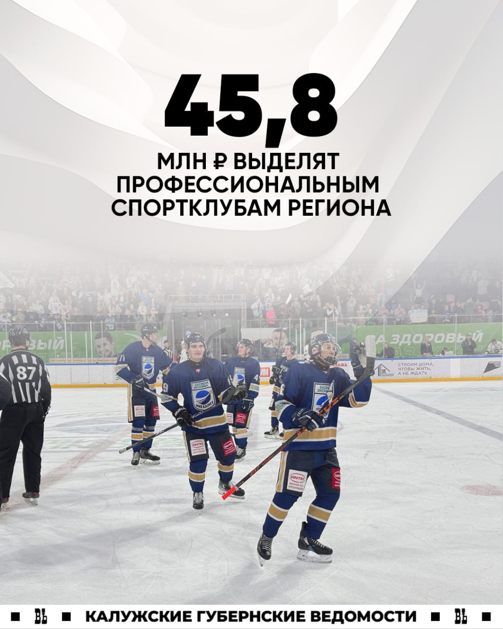 На поддержку профессиональных спортклубов Калужской области выделят 45,8 млн