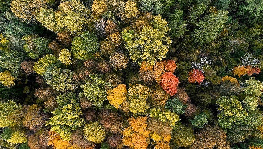 Заповедник «Калужские засеки» отмечает день рождения