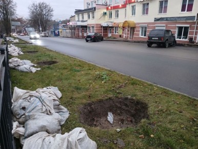 В Калуге высадят деревья на улице Никитина