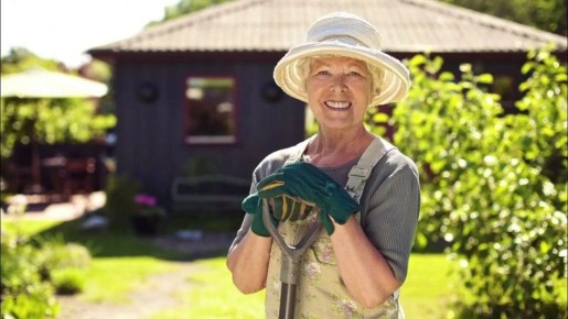 Садовые дома больше не под налогом: законопроект на рассмотрении