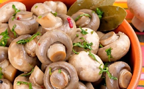 Быстрые и вкусные маринованные шампиньоны
