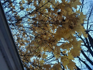 Облачная погода ожидается в Калужской области