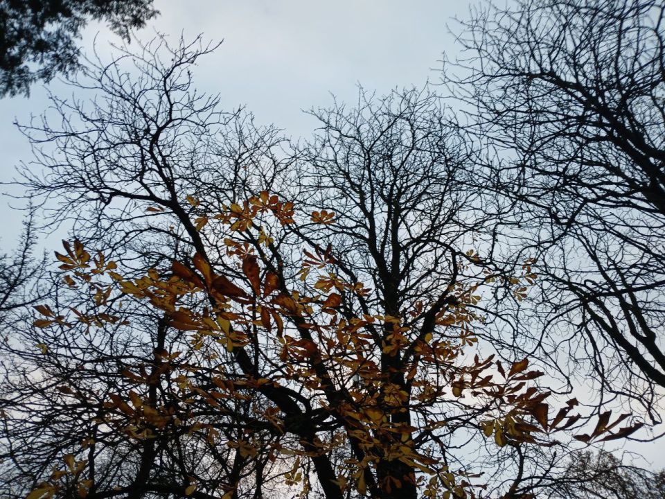 Беспилотную опасность отменили в Калужской области