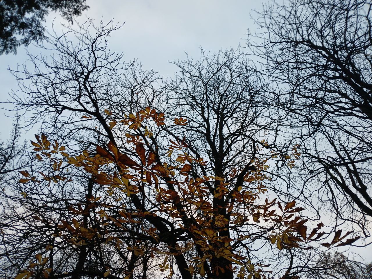 Беспилотную опасность отменили в Калужской области