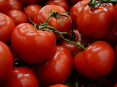 Соседи помидоров: что стоит знать, чтобы вырастить лучший урожай