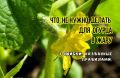 Тепличные огурцы под ударом: как избежать основных ошибок в жару