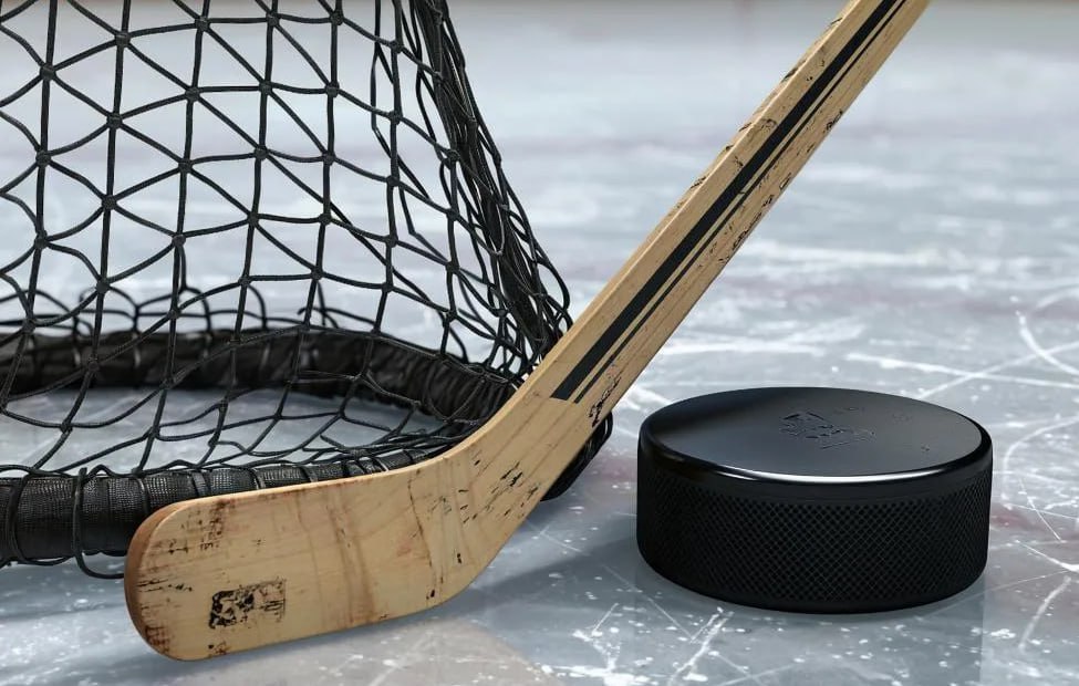 В Минспорта рассказали о развитии детских турниров по хоккею в Калуге