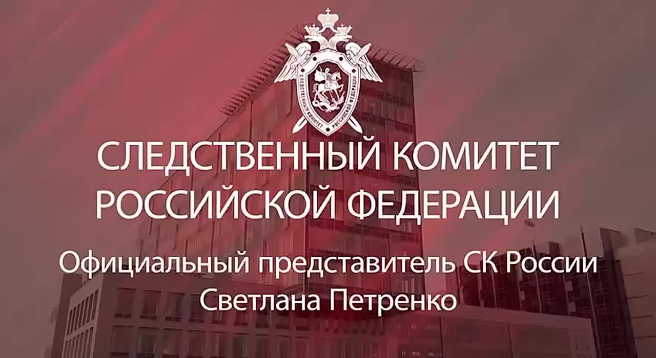 Официальный представитель СК России Светлана Петренко: