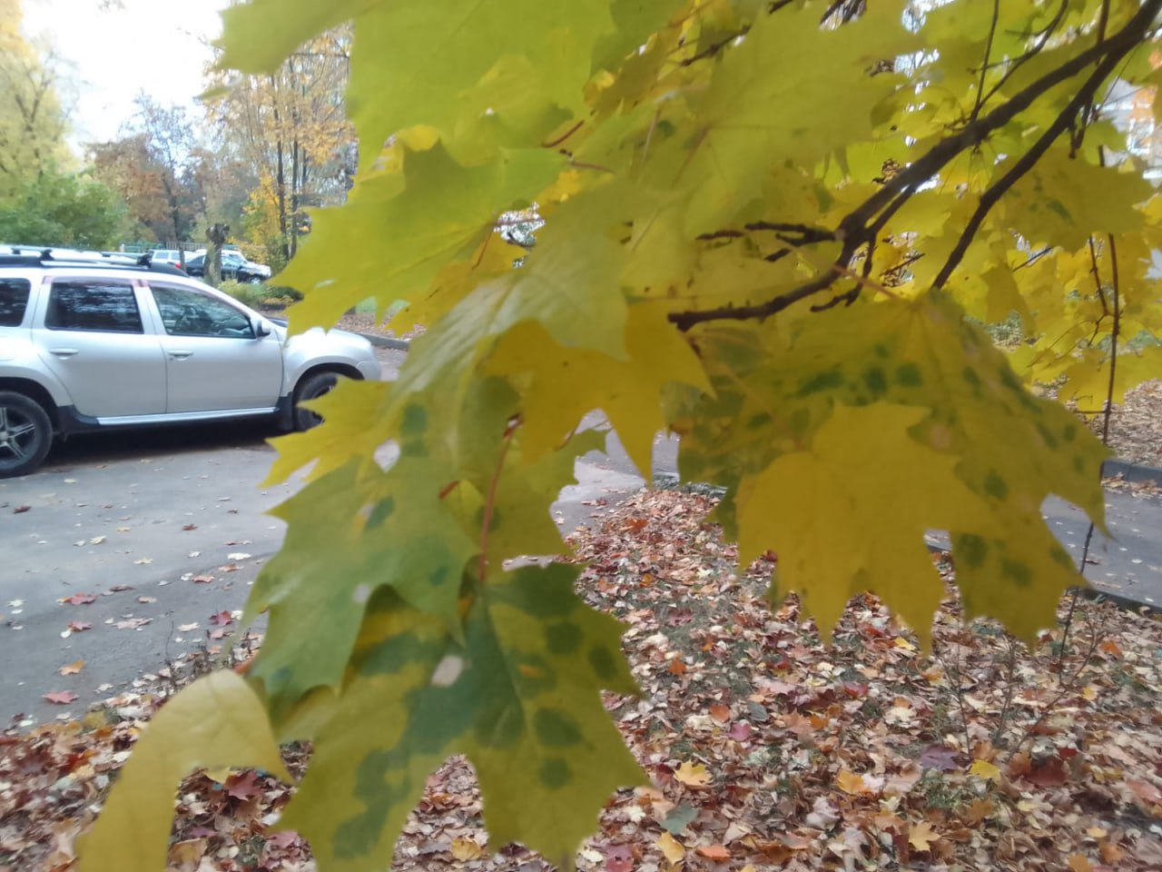 Теплая погода установилась в Калужской области